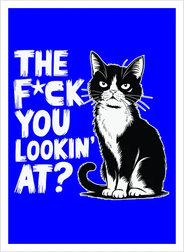 THE F*CK YOU LOOKIN' AT?
