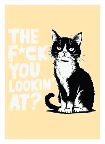 THE F*CK YOU LOOKIN' AT?