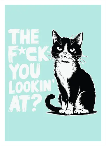 THE F*CK YOU LOOKIN' AT?