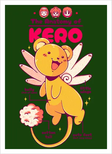 THE ANATOMY OF KERO
