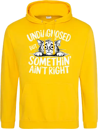 Undiagnosed but something' ain't right