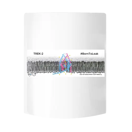 Wirkstoffradio - Born To Leak Tasse