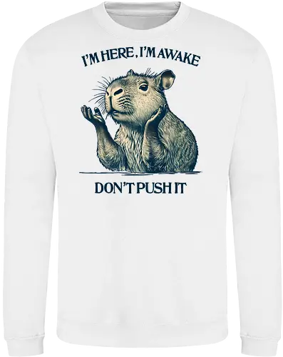 I’m Here I’m Awake