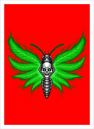 curse moth 