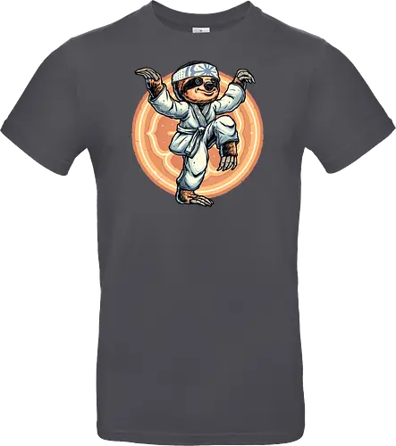 The Legend of Karate Sloth