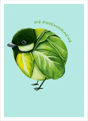 Rosenkohlmeise