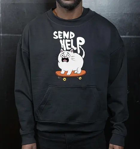 Skateboard Cat Needs Help