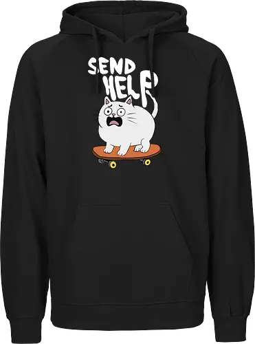 Skateboard Cat Needs Help