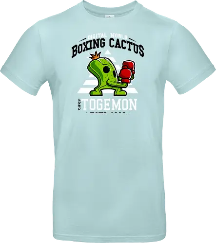 Boxing Digital Cactus