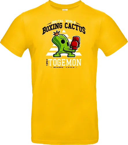 Boxing Digital Cactus