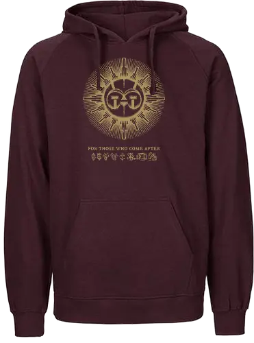 Etched for the future - clair obscur, clair obscur expedition 33, expedition 33, esquie, gustave, lumiere, verso, rpg - Fairtrade Hoodie