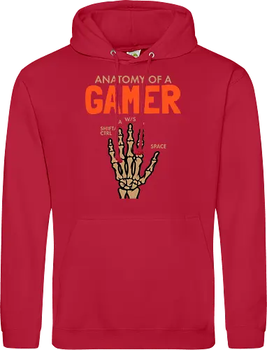 Anatomy of a Gamer