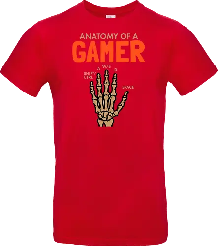 Anatomy of a Gamer