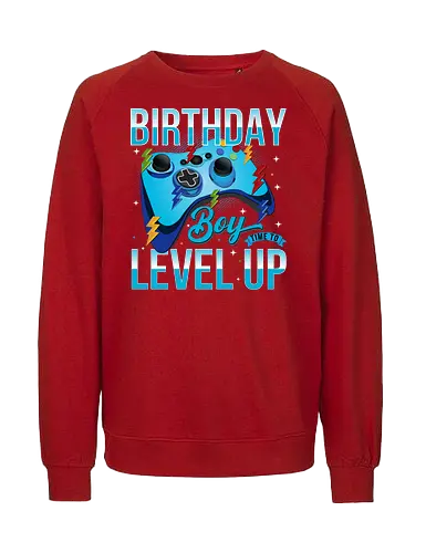 Birthday Boy, Time to Level Up - birthday, gaming, controller, celebration, level up, boy, lightning, colorful, playful - Fairtrade Sweatshirt