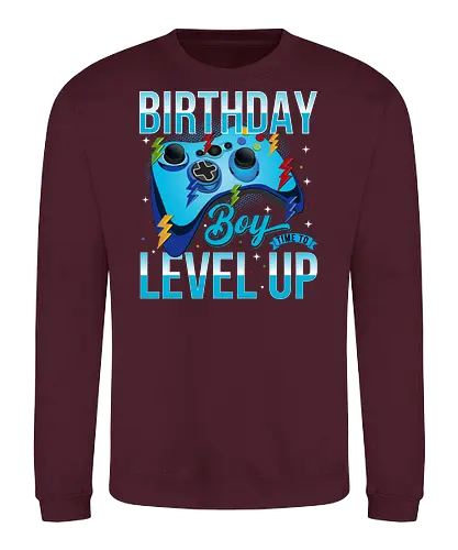 Birthday Boy, Time to Level Up - birthday, gaming, controller, celebration, level up, boy, lightning, colorful, playful - Sweatshirt