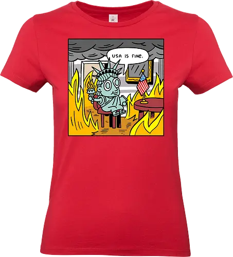 Usa is fine - usa, america, fine, fire - Standard T-Shirt (Frauen)