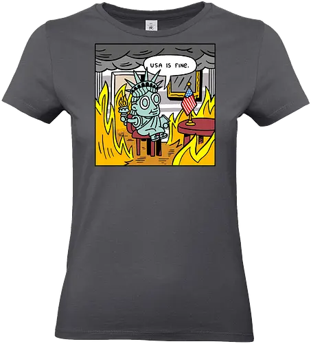 Usa is fine - usa, america, fine, fire - Standard T-Shirt (Frauen)