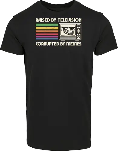 Raised by TV Corrupted by Memes