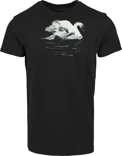 swan