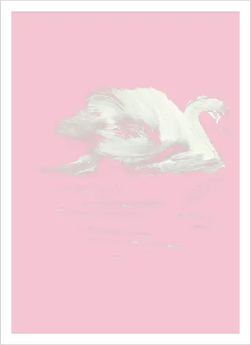 swan