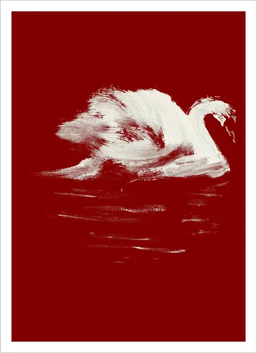swan