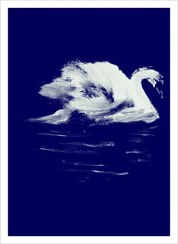 swan