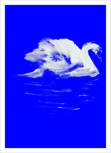 swan