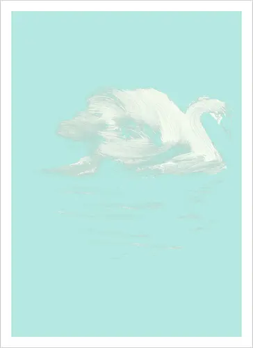 swan
