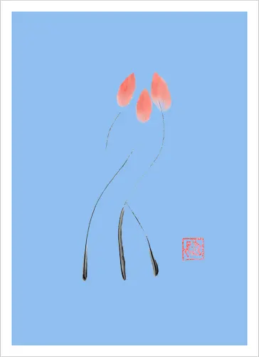 tulip