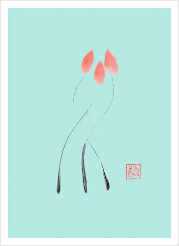 tulip