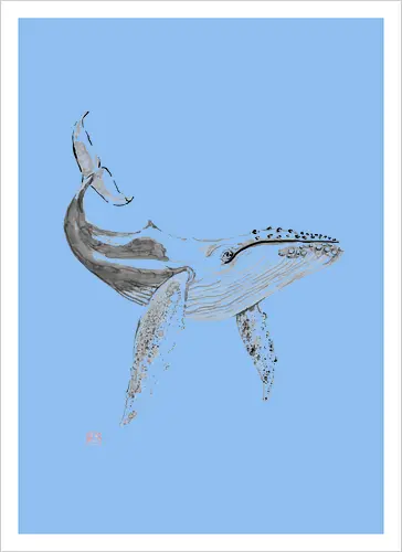 whale
