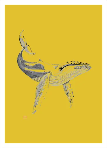 whale