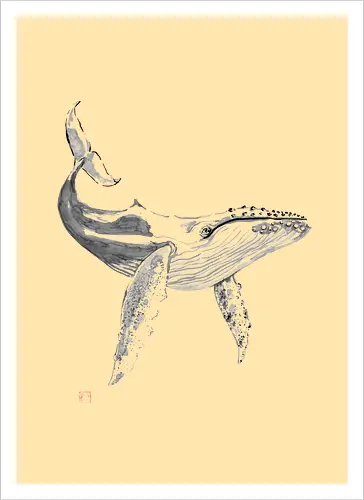 whale