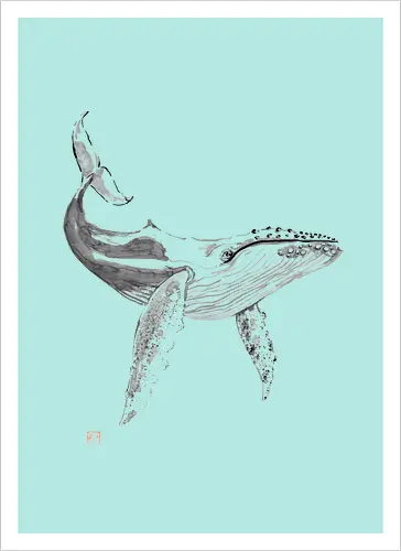whale