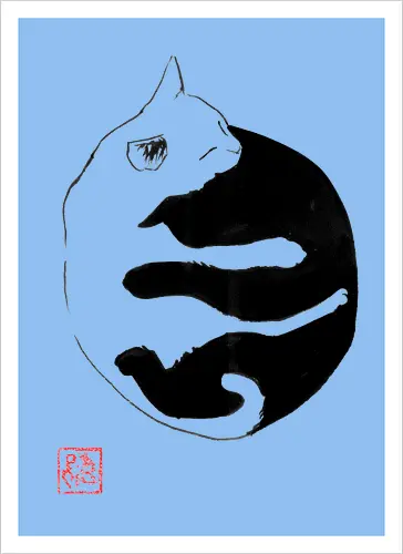 ying yang cat