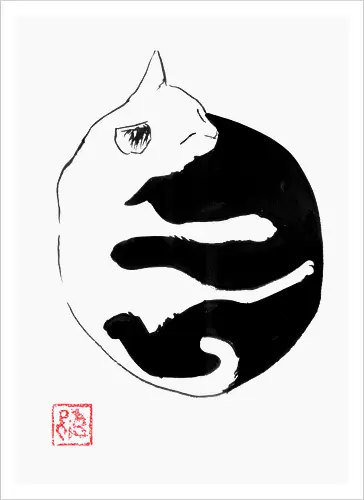 ying yang cat
