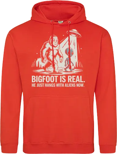 Bigfoot is real. He just hangs with aliens now