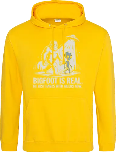 Bigfoot is real. He just hangs with aliens now
