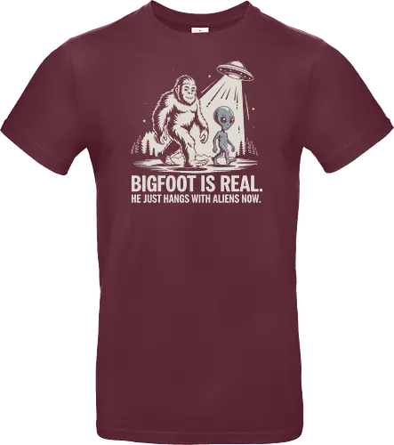 Bigfoot is real. He just hangs with aliens now