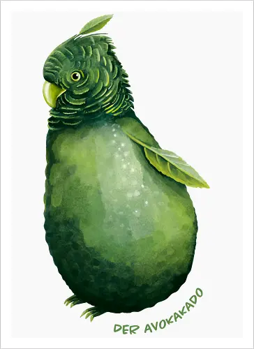 Avokakado