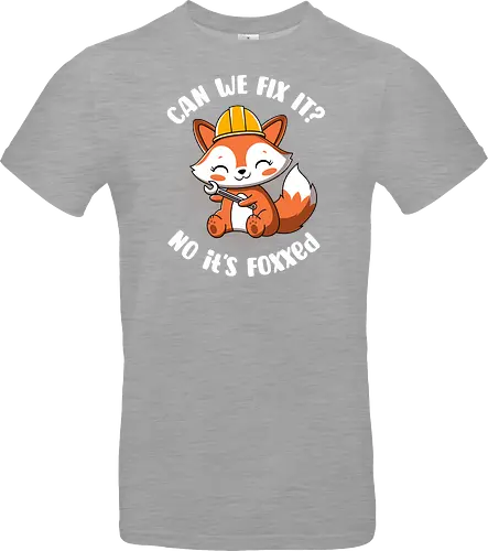 Can we fix it fox