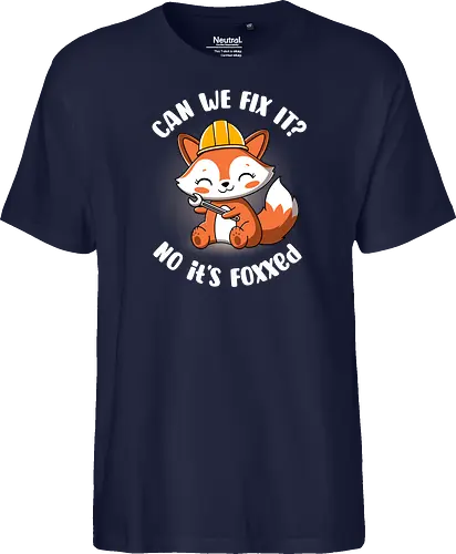 Can we fix it fox