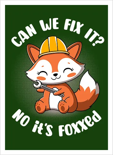 Can we fix it fox
