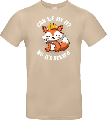 Can we fix it fox