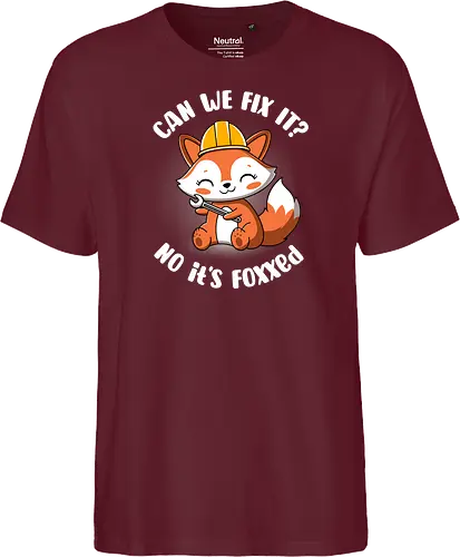 Can we fix it fox