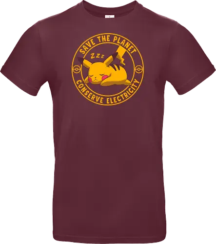 Conserve Electricity