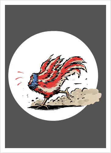 American Rooster
