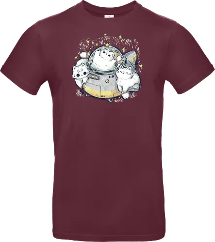 Cute Alien Cats Spaceship