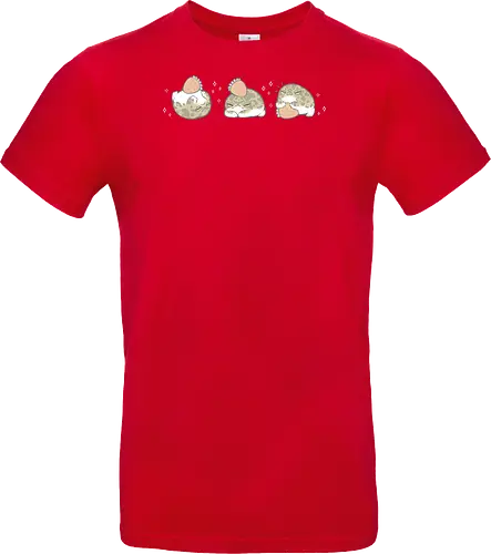 Cute Rain Frogs Strawberry