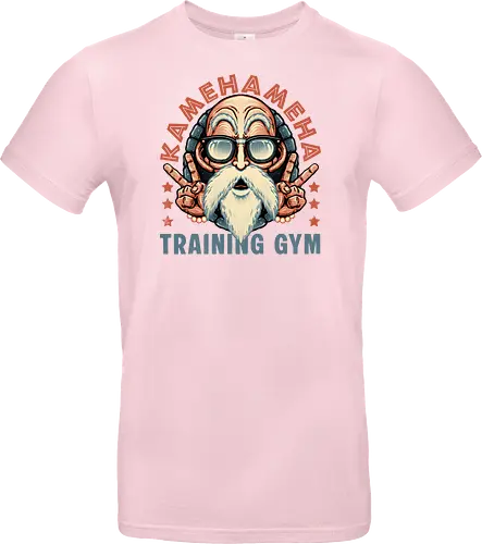 Kame Training Gym - Anime, Japan, adventure, animation, animated, cartoons, fitness, gym - Standard T-Shirt